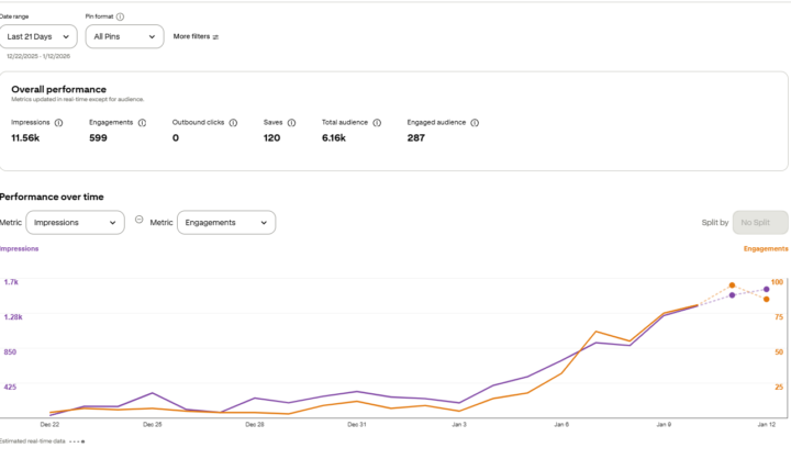 My Pinterest account is getting traction