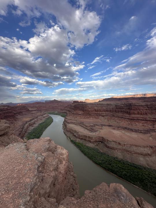 Desert Reflections...