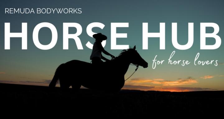 Horse Hub