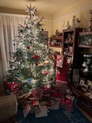 János Gábor Kovács