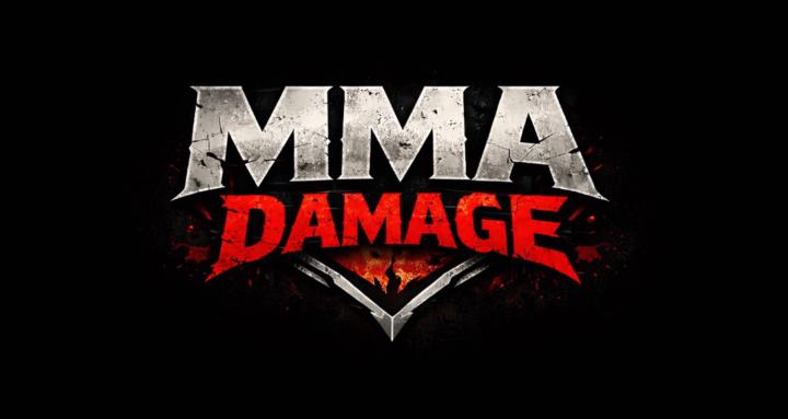 mma damage