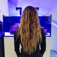 Isabelreef Vega