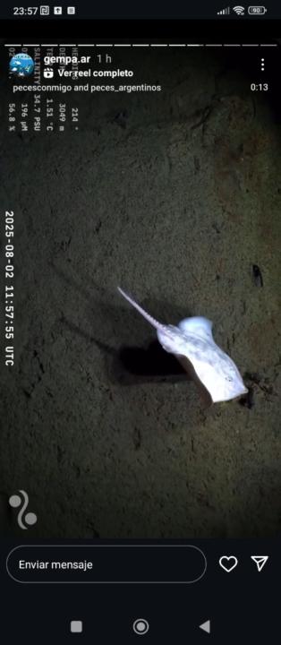 María Fernanda Montero Bustamante