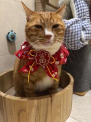 王 譯瑩