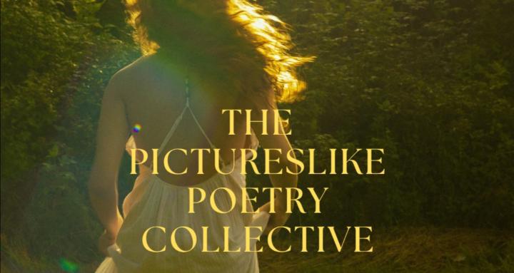 Pictureslikepoetry Collective