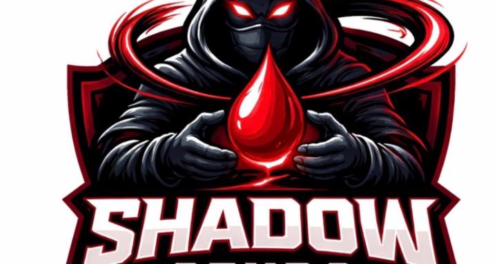 Shadow Sends🥷🏾🩸