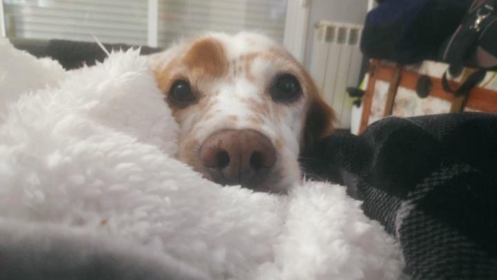 Tsuyu González Fortunato