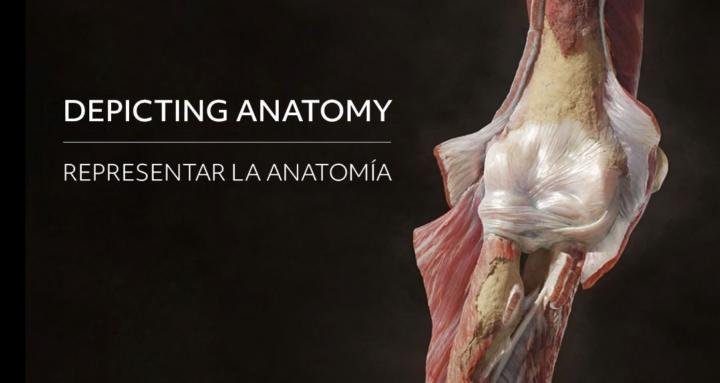 Depicting Anatomy (EN/ES)