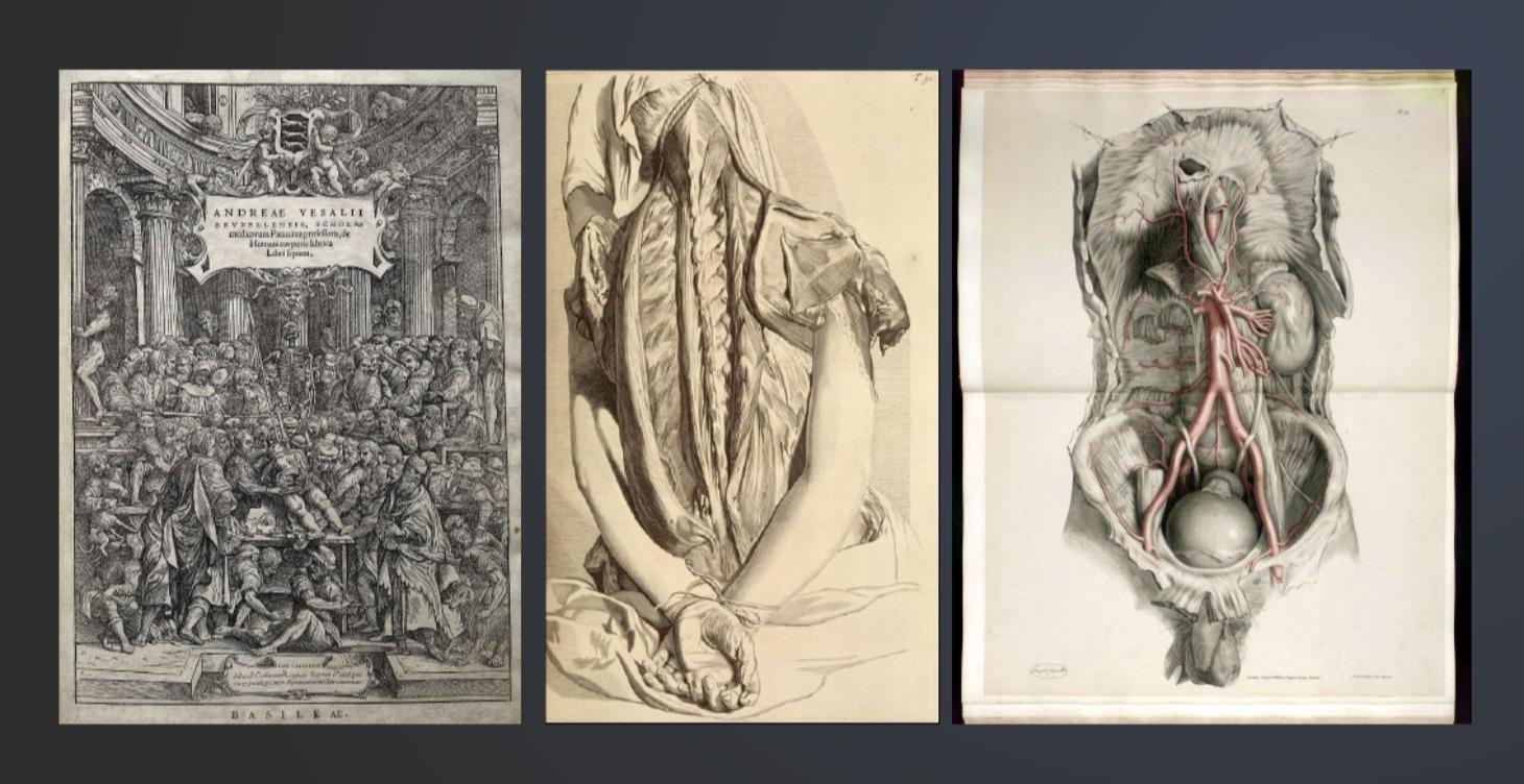 The Body Through History. 1/4