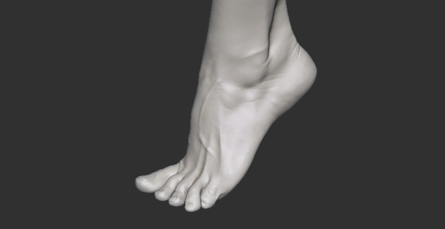 Anatomic Challenge 1
