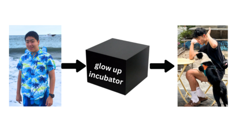 Glow Up Incubator gallery image