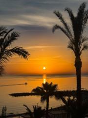 Monica Vethe-Bjerkelund