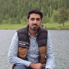 Anas Gondal