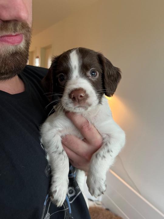 Anne Marie Sørensen