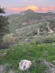 Abu Bakr