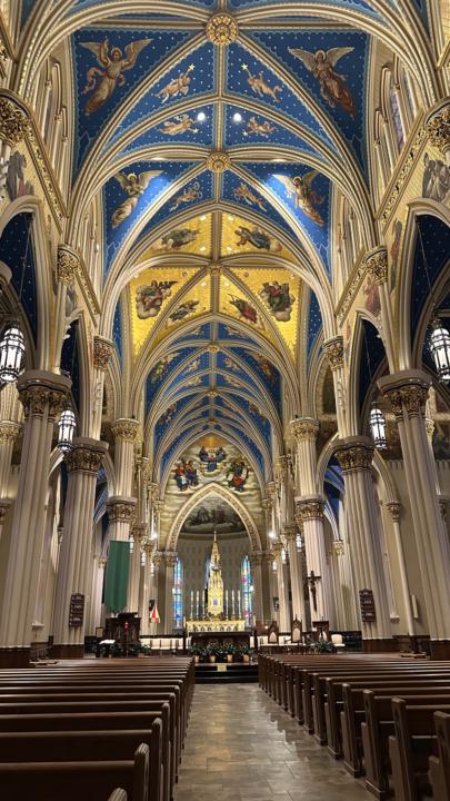 Notre Dame Reflections