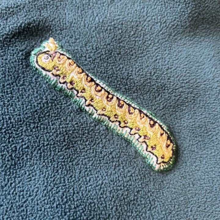 Completed caterpillar