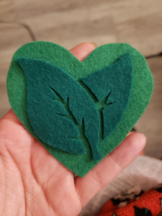 Looking for opinions!