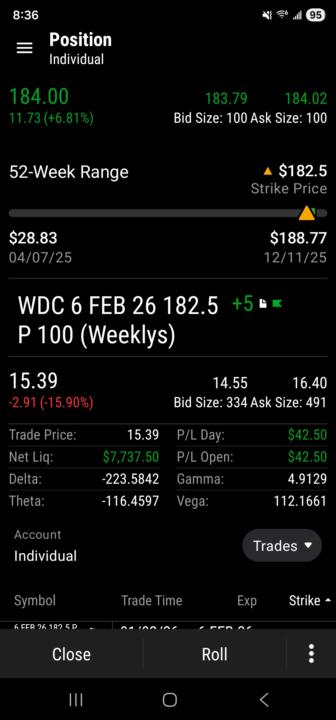 WDC Short Option 