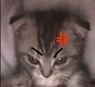 Tygo De deugd