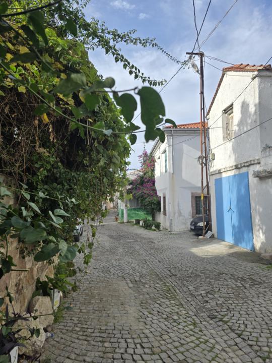 Ayvalık’ın Rüzgârları: Poyrazın Keskin Selamı