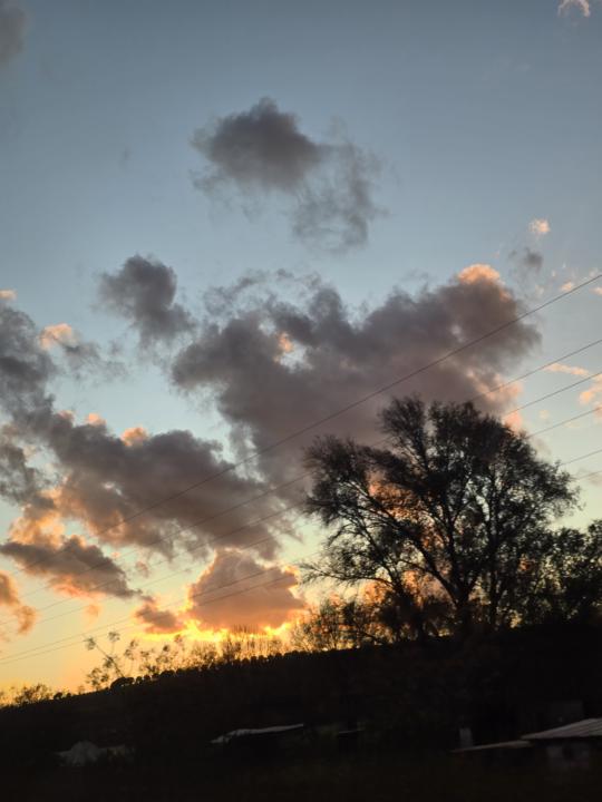 Lodos: Ayvalık’ın Yaramaz, Dalgacı, Sıcak Kardeşi