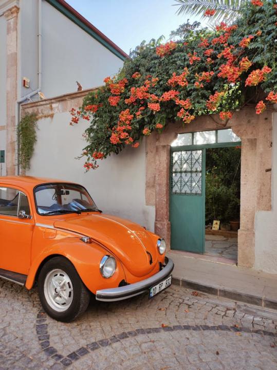 🌿 Ayvalık Bir Burç Olsaydı Hangisi Olurdu?