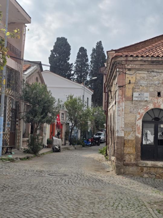 Kasaba Kültürü: Zeytin, Sohbet ve Samimiyet