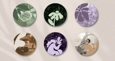 Profesionales - Cofitbe