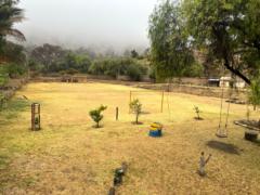 Luis Fernando Bellido Jimenez