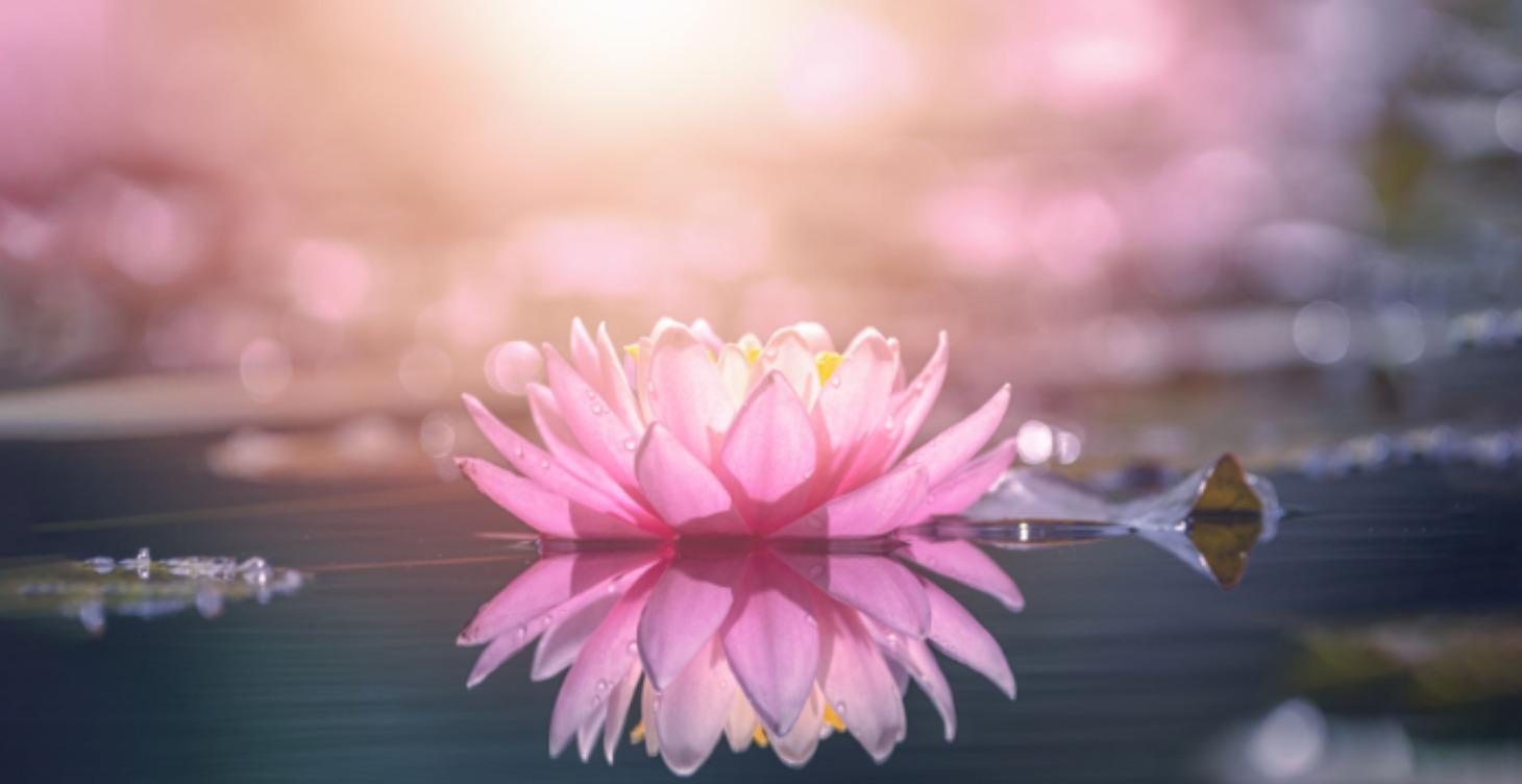 Coming Soon! Level 2