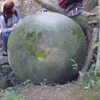 Sonja Urbančič Zec