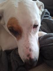 Jordi González Muñoz