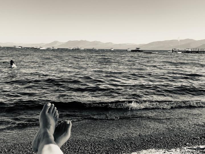 Avnit Sambi