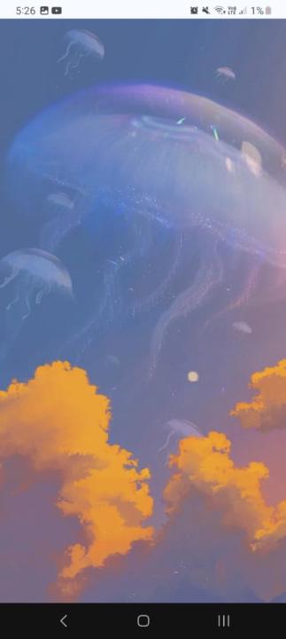 Fiorela Huaman Pineda