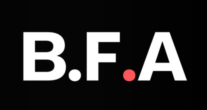 BFA-Business Freedom Academy
