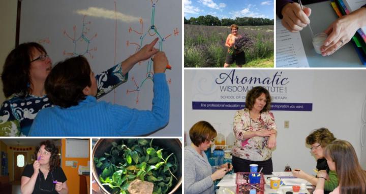 Aromatic Wisdom Community