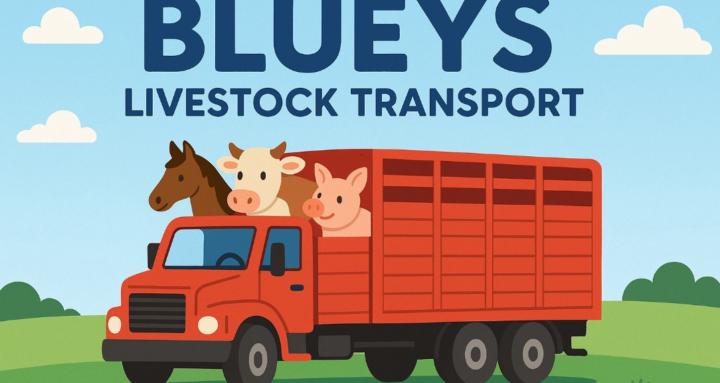 Blueys livestock transport