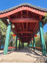 Stéphanie Soumphonphakdy