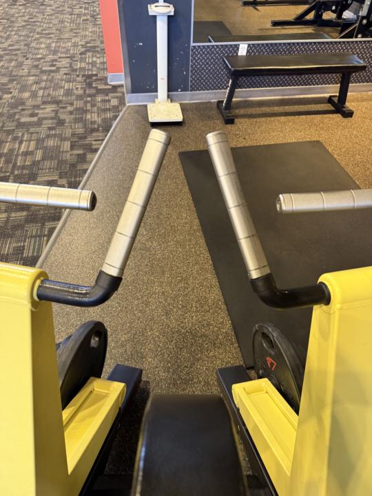 Workout