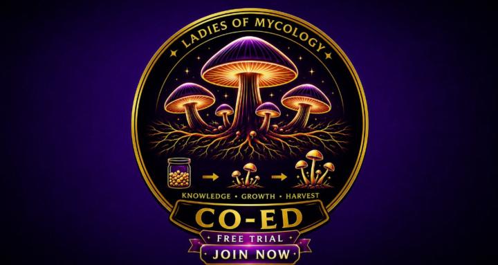 LoM Co Ed