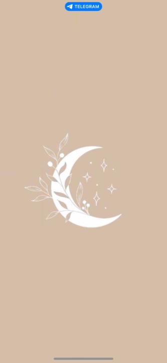 Amira Al.gmily