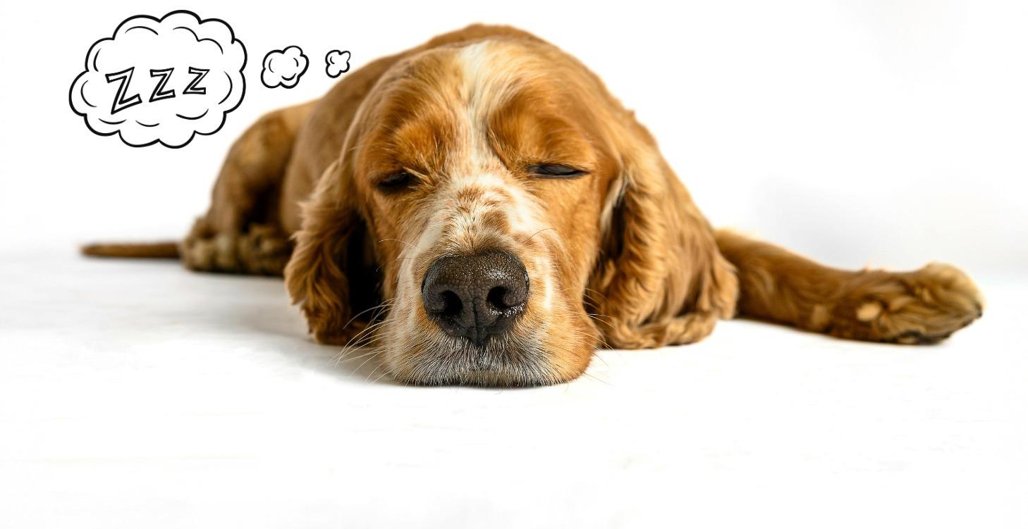 Coming Soon: Sleep, Stress Management & Recovery