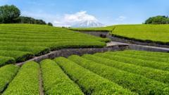 Alban Akotchayé Atioukpe