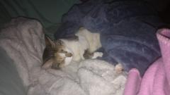 Luna Daniela