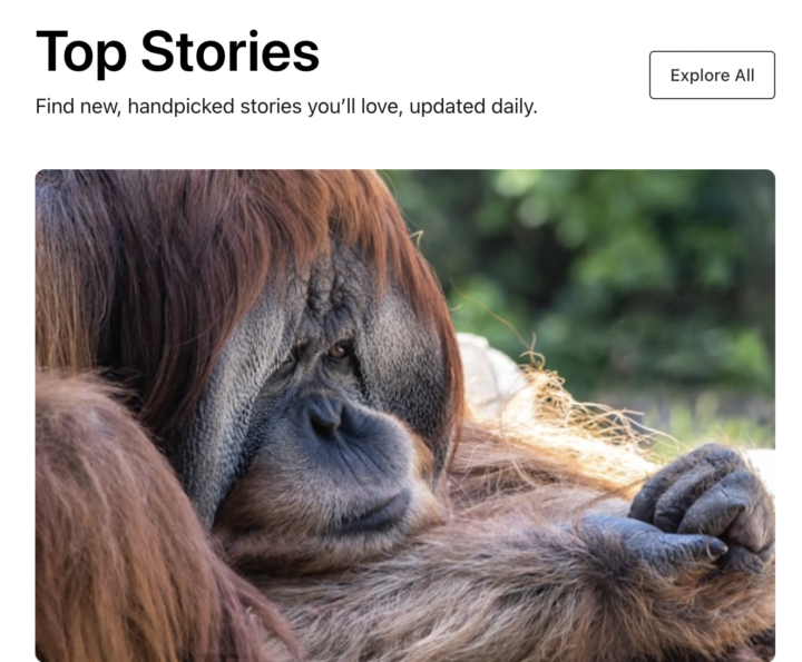 Job: Vocal Media to publish your articles and earn money 