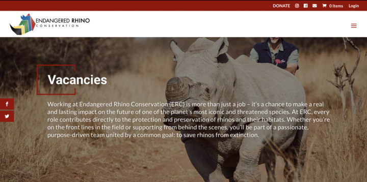 Volunteer Job: Help Rhino's with your travel journalism! 