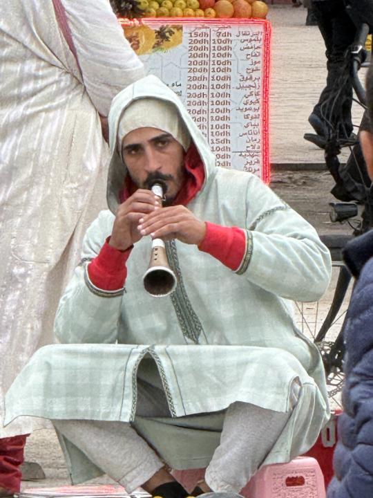 The City of Marrakesh in Morocco