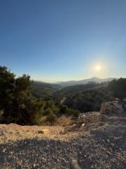 Moody Abujaradeh