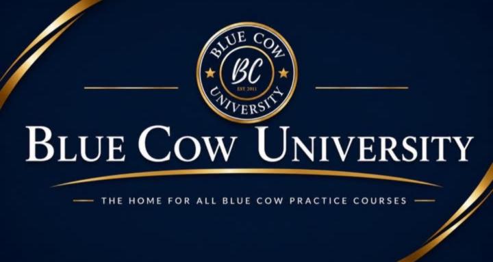 BLUE COW UNIVERSITY 